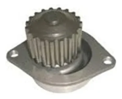 BOMBA DE AGUA 19 DENTES