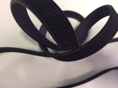 CORREIA POLY V GIR/ALT/BA