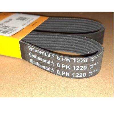 CORREIA POLY V GIR/ALT/BA *