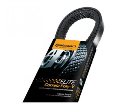 CORREIA POLY V ELASTICA *