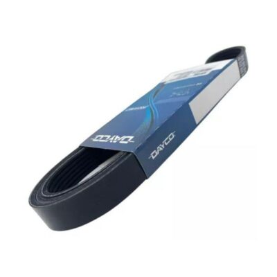 CORREIA POLY V CONTINENTAL *