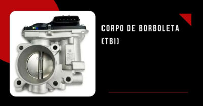 CORPO DE BORBOLETA TBI LESTE