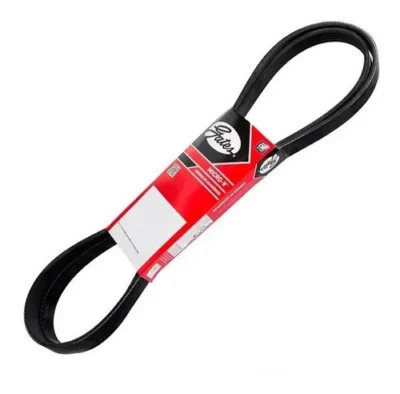 CORREIA POLY V GIR/ALT GATES *