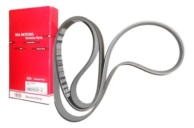 CORREIA POLY V MRMK8224