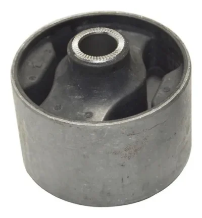 COXIM INFERIOR FRONTAL MOTOR