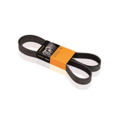CORREIA POLY V
