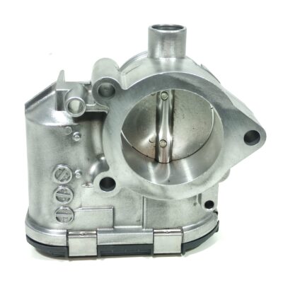 CORPO DE BORBOLETA TBI LESTE