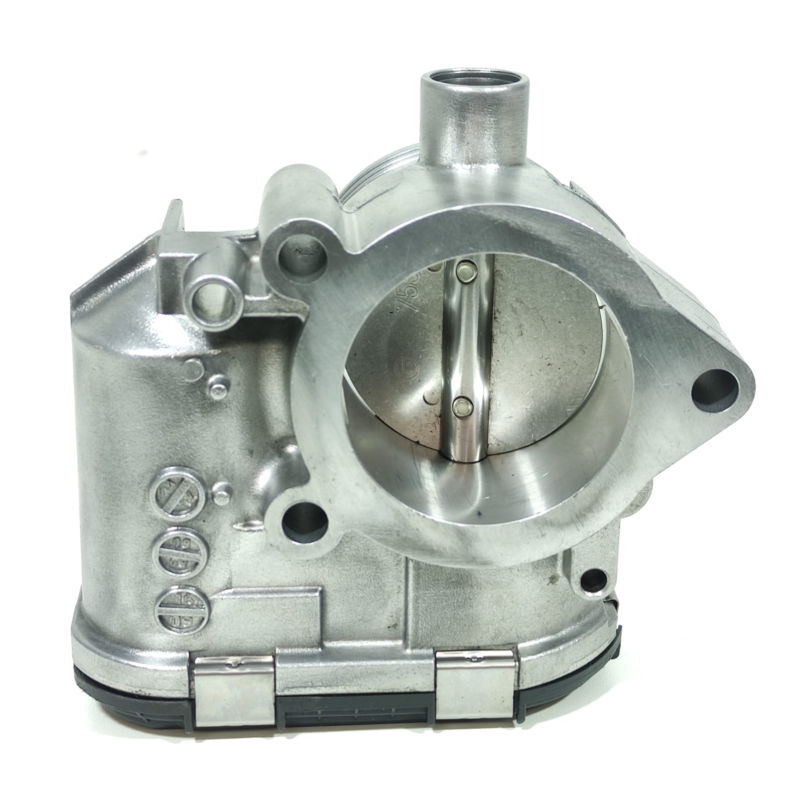 CORPO DE BORBOLETA TBI LESTE