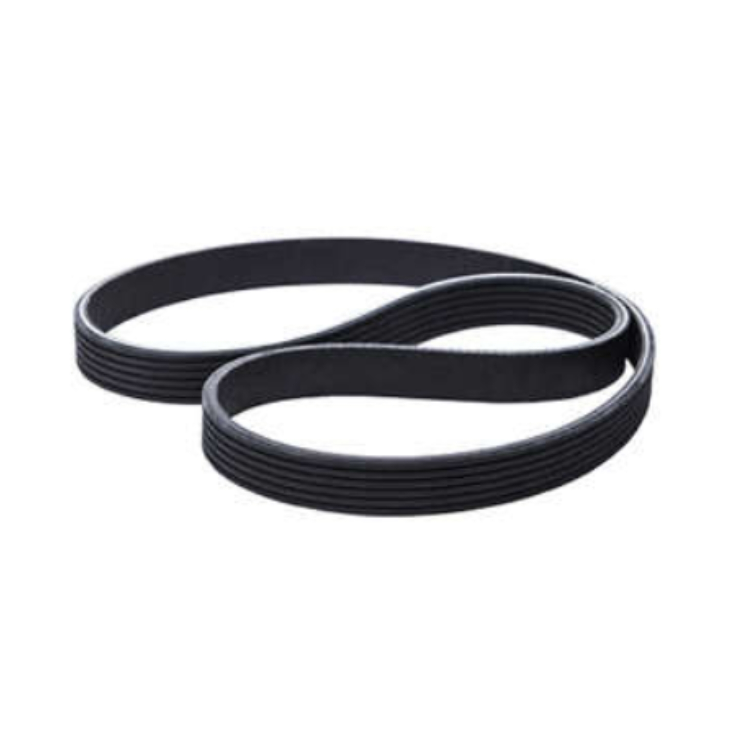 CORREIA POLY V ELASTICA