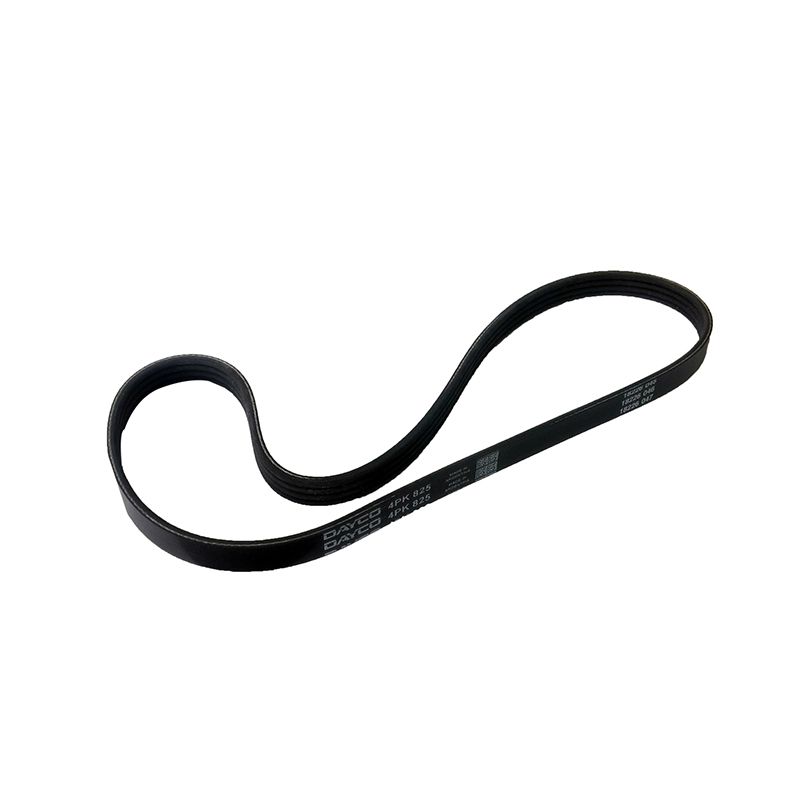 CORREIA POLY V ACD/ALT