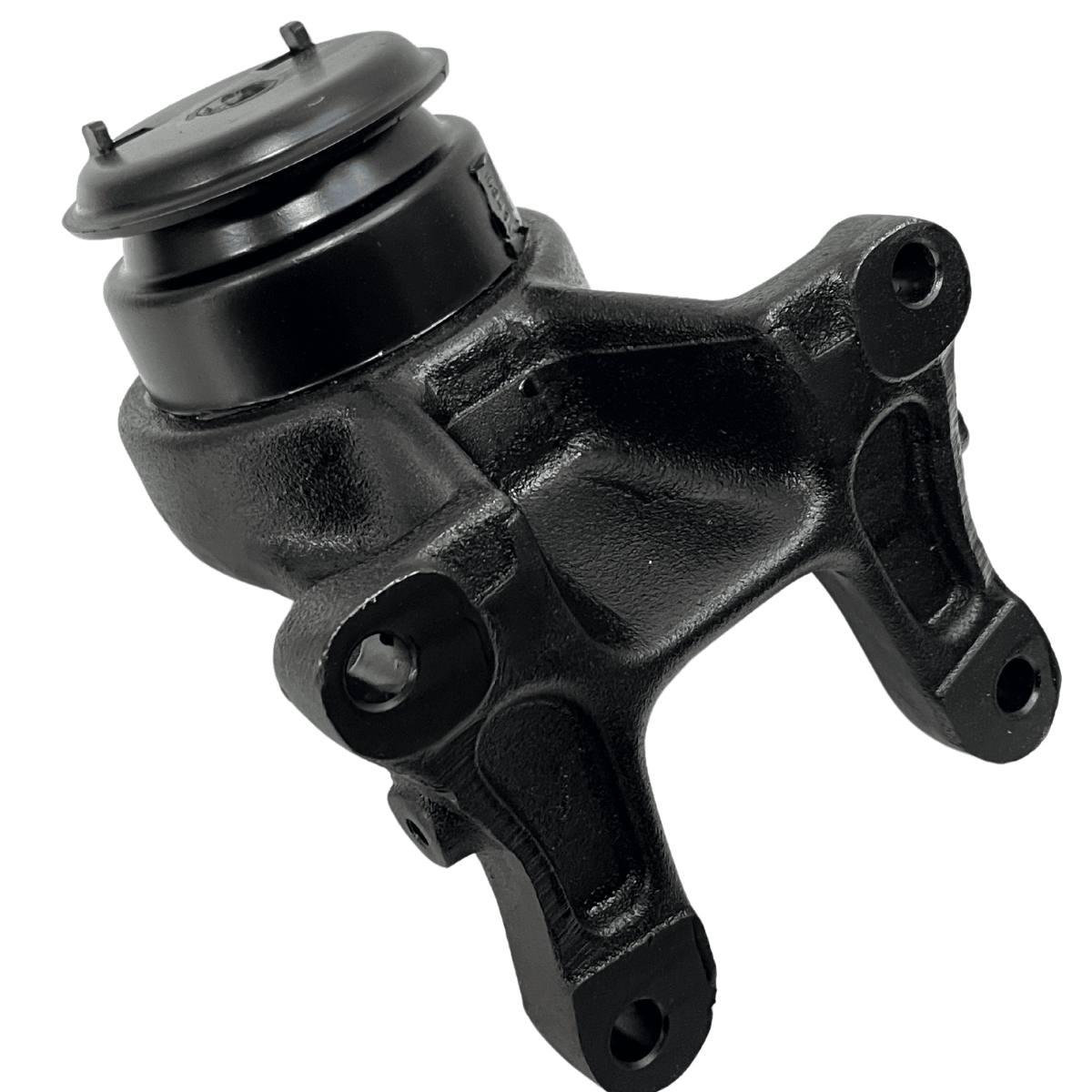 COXIM DIANTEIRO MOTOR LE