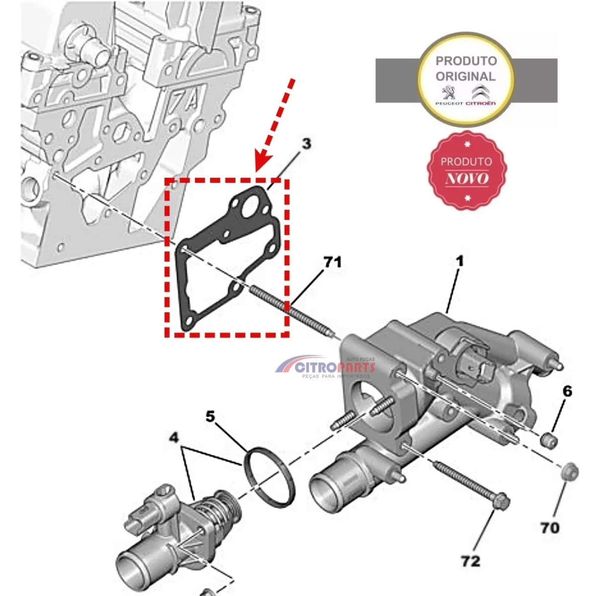 JUNTA CARCACA DA VALVULA TERMOSTATICA