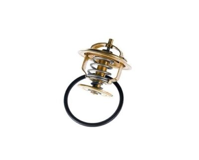 VALVULA TERMOSTATICA