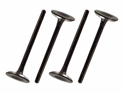 VALVULAS ESCAPE 4 PECAS +