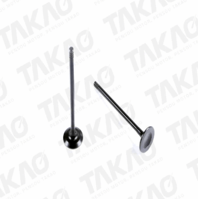 VALVULA ESCAPE UNIDADE