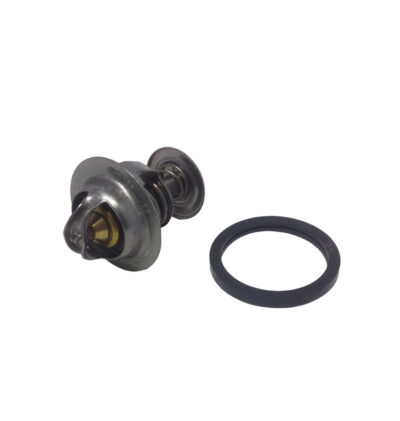 VALVULA TERMORSTATICA 82